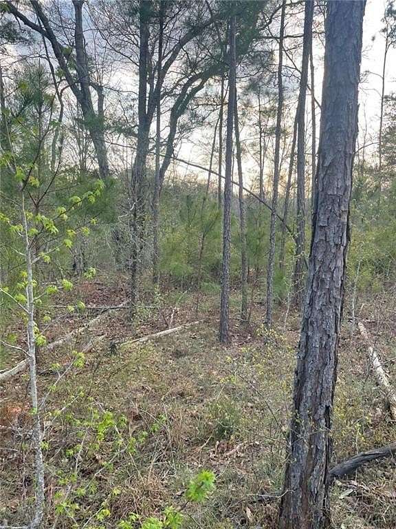34.2 Acres of Land for Sale in Elberton, Georgia