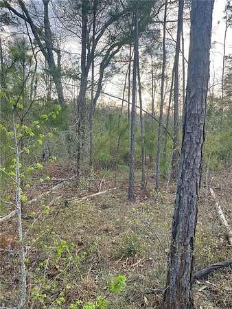 34.2 Acres of Land for Sale in Elberton, Georgia
