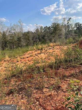 34.2 Acres of Recreational & Residential Land for Sale in Elberton, Georgia