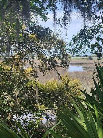 16 Acres of Land with Home for Sale in Brunswick, Georgia