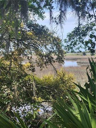 16 Acres of Land with Home for Sale in Brunswick, Georgia