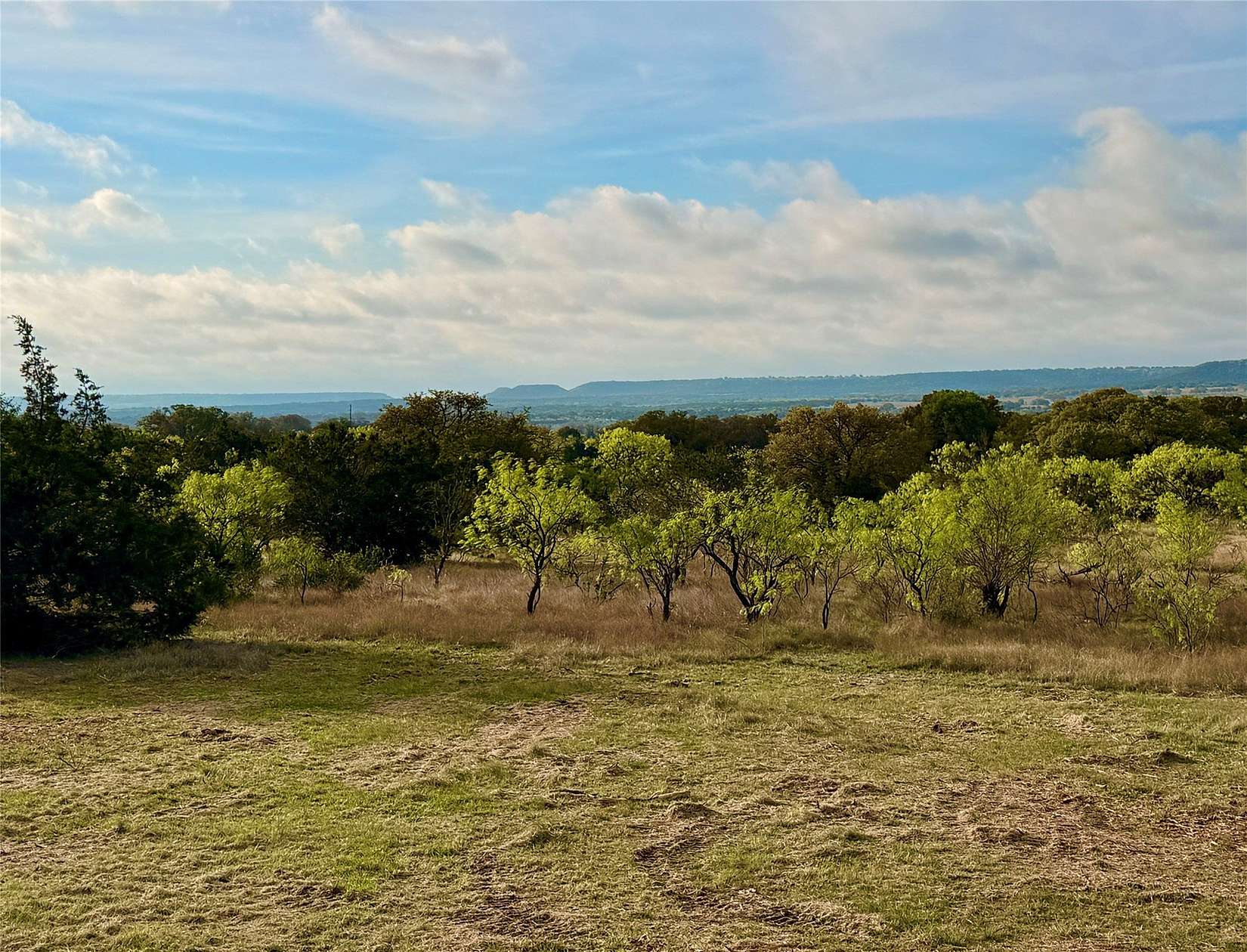 97.7 Acres of Recreational & Residential Land for Sale in Comanche, Texas
