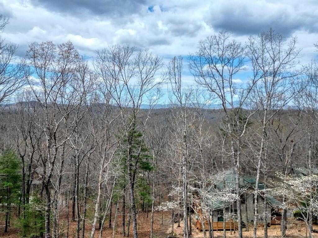 1.35 Acres of Residential Land for Sale in Mineral Bluff, Georgia