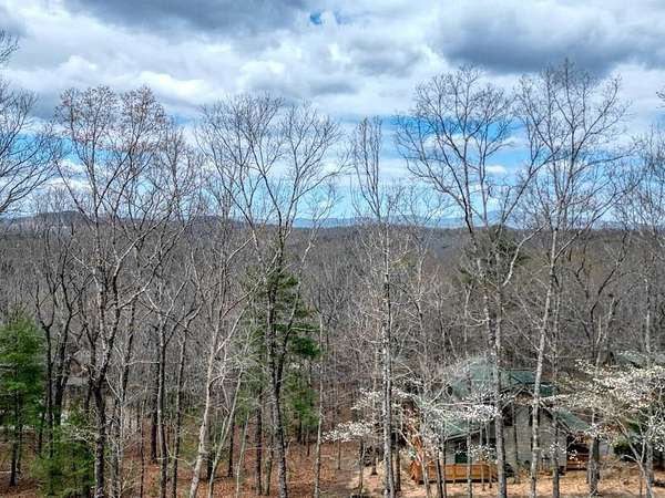 1.35 Acres of Residential Land for Sale in Mineral Bluff, Georgia