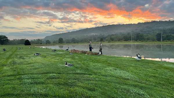 160 Acres of Recreational Land for Sale in Shelocta, Pennsylvania