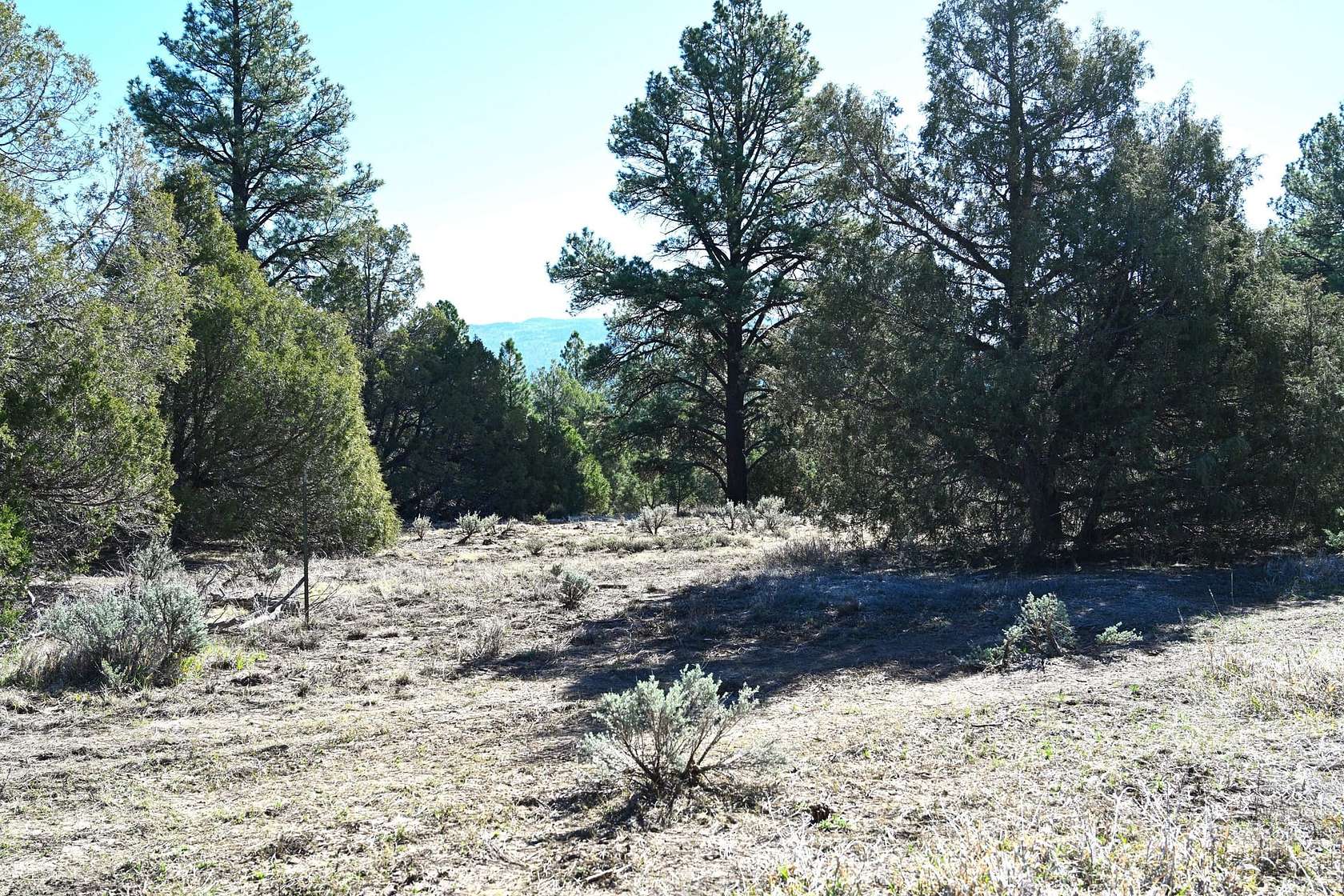 3 Acres of Recreational Land for Sale in Tierra Amarilla, New Mexico