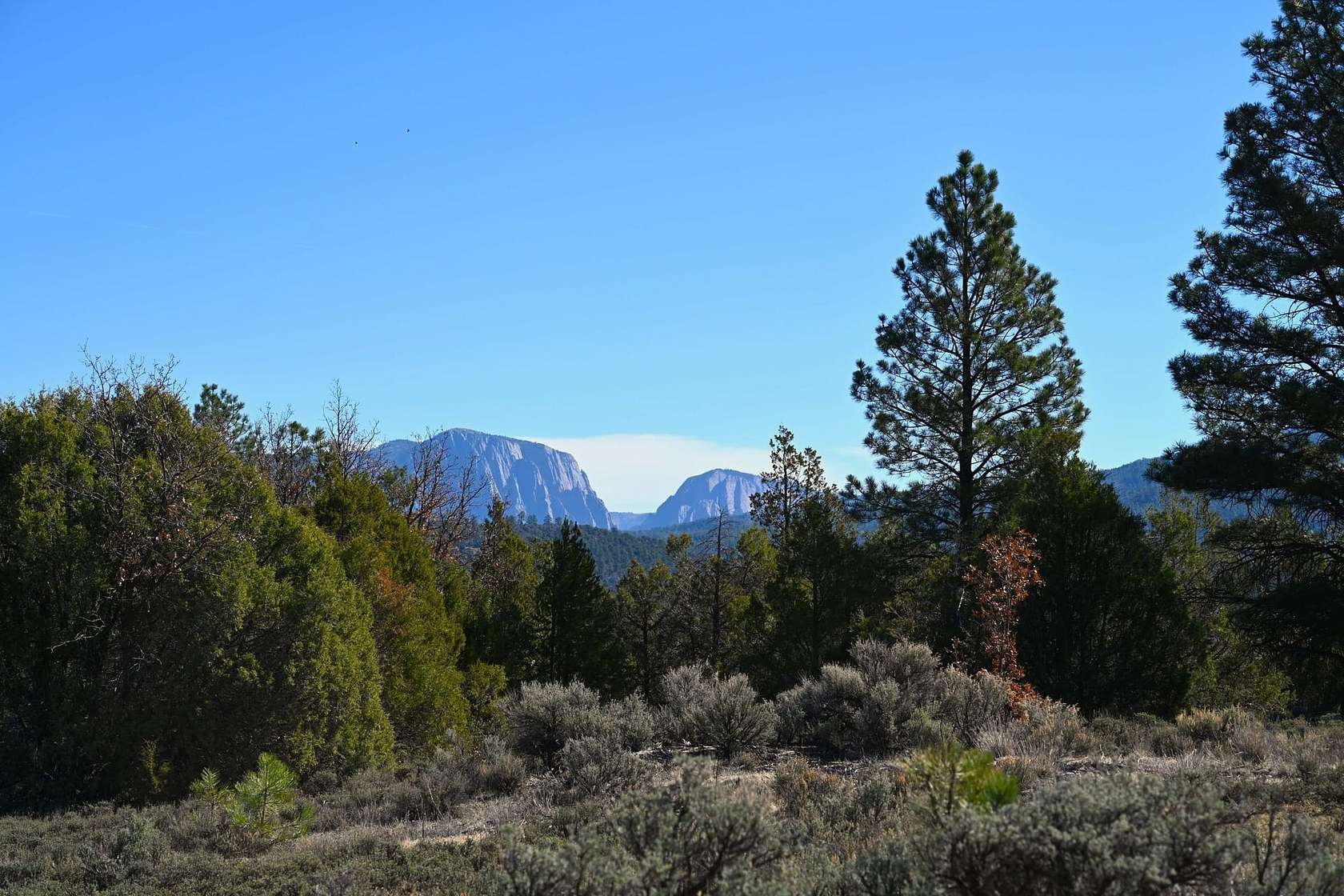 6 Acres of Recreational Land for Sale in Tierra Amarilla, New Mexico