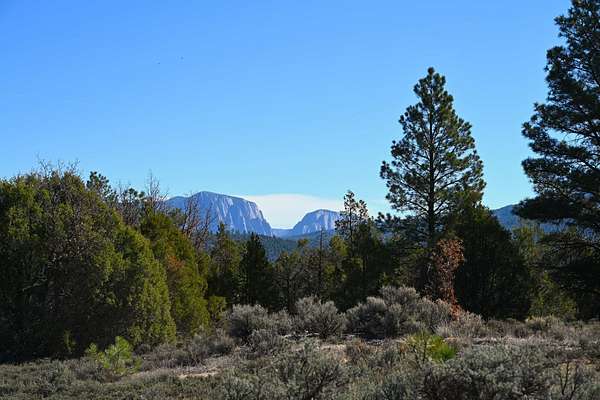 6 Acres of Recreational Land for Sale in Tierra Amarilla, New Mexico