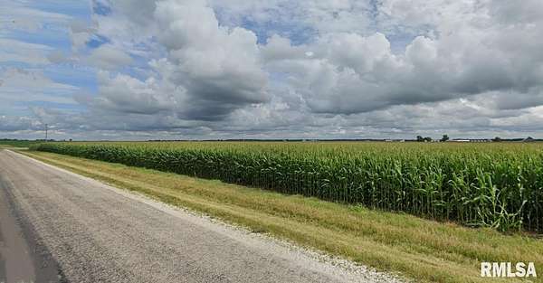69 Acres of Agricultural Land for Sale in Scottville, Illinois