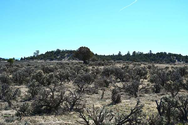 10 Acres of Recreational Land for Sale in Tierra Amarilla, New Mexico