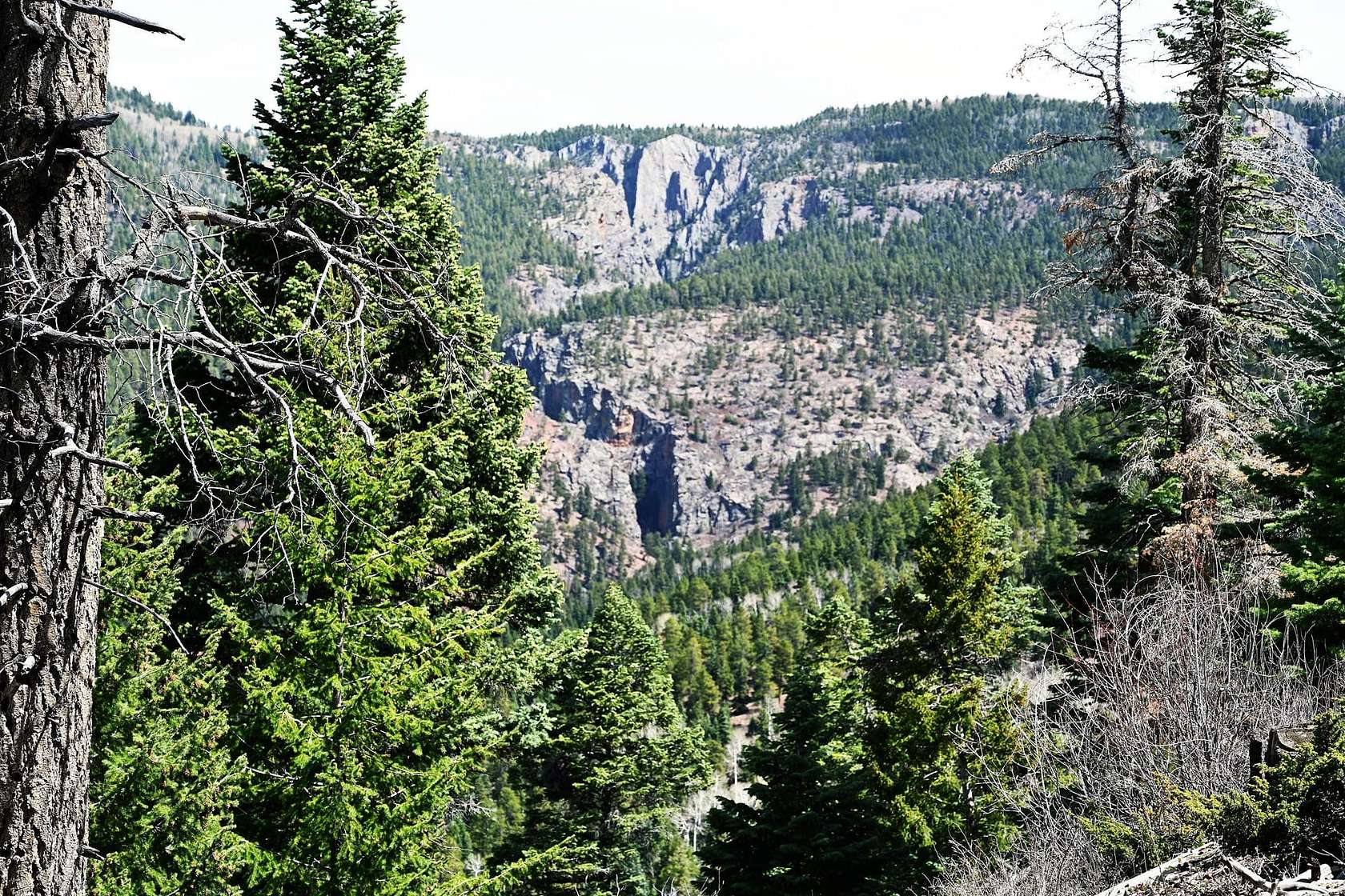 272 Acres of Recreational Land for Sale in Chama, New Mexico