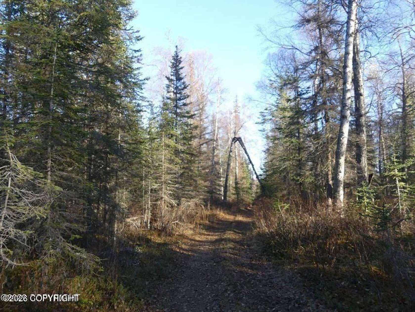 40 Acres of Recreational Land for Sale in Nikiski, Alaska