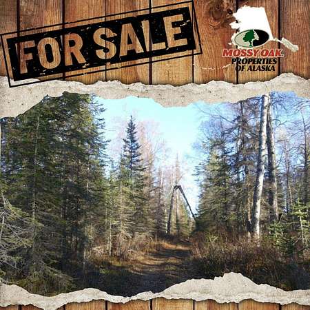 40 Acres of Recreational Land for Sale in Nikiski, Alaska