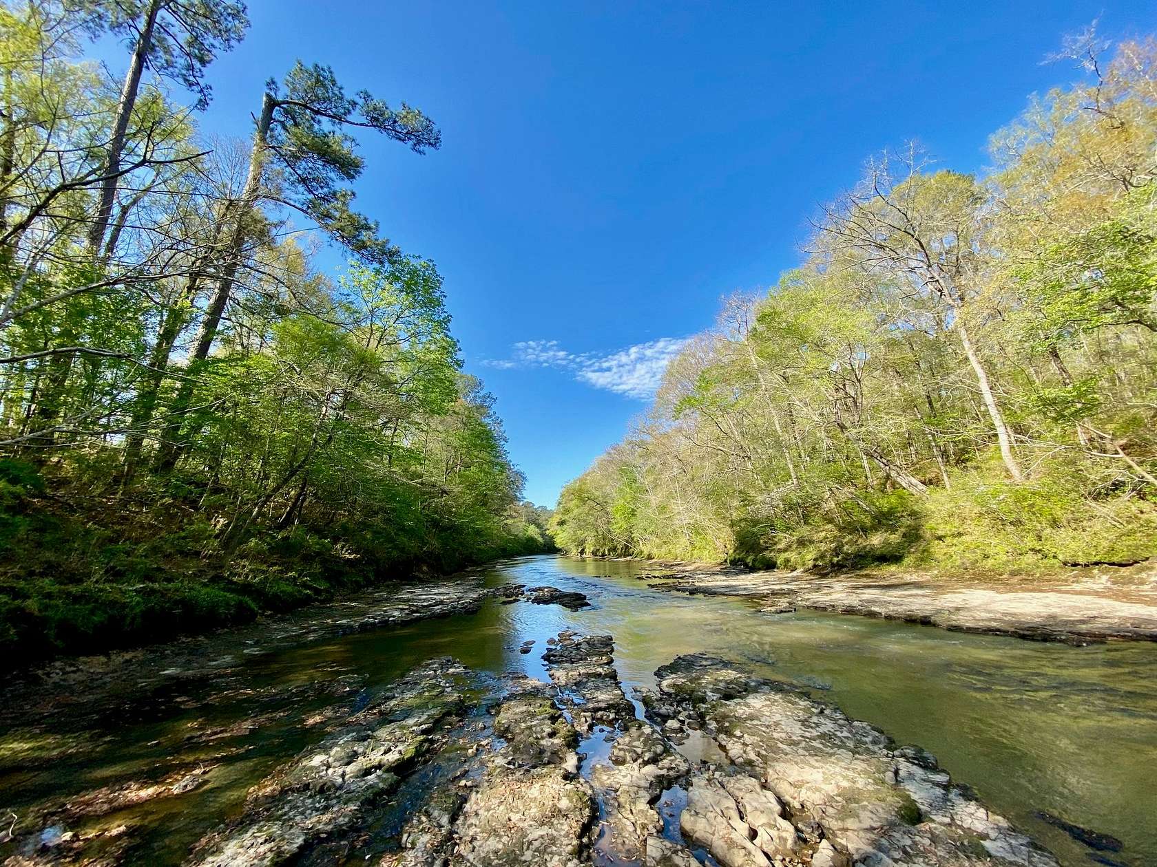 20 Acres of Land for Sale in Pinola, Mississippi