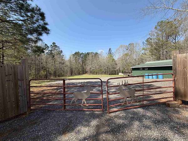 14 Acres of Recreational Land for Sale in McKenzie, Alabama