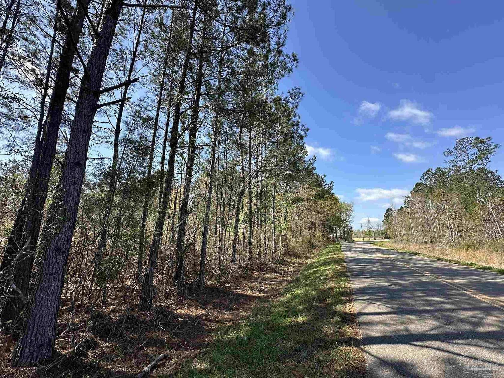 10 Acres of Recreational Land for Sale in Frisco City, Alabama