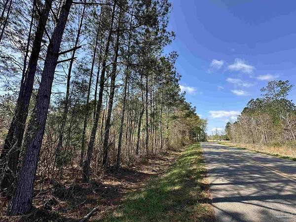 10 Acres of Recreational Land for Sale in Frisco City, Alabama