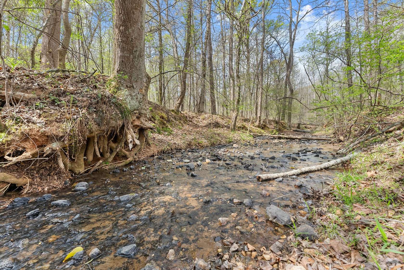 19 Acres of Recreational & Residential Land for Sale in Homer, Georgia