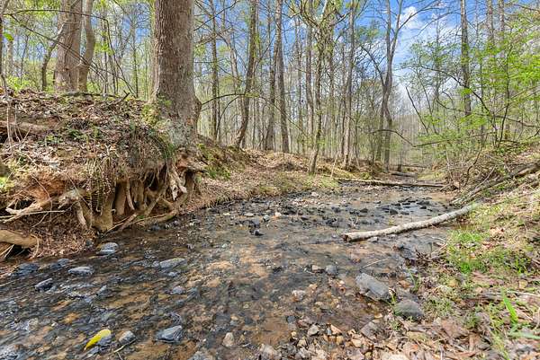 19 Acres of Recreational & Residential Land for Sale in Homer, Georgia
