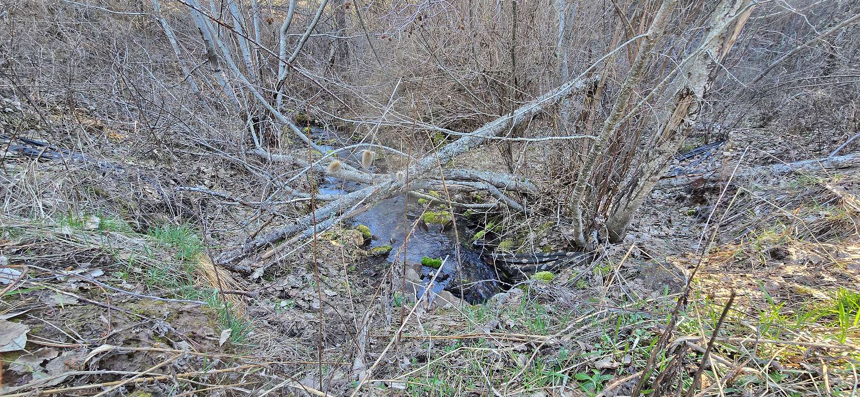 20 Acres of Land for Sale in Fruitland, Washington