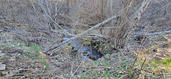 20 Acres of Land for Sale in Fruitland, Washington