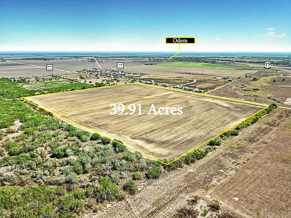40 Acres of Agricultural Land for Sale in Odem, Texas