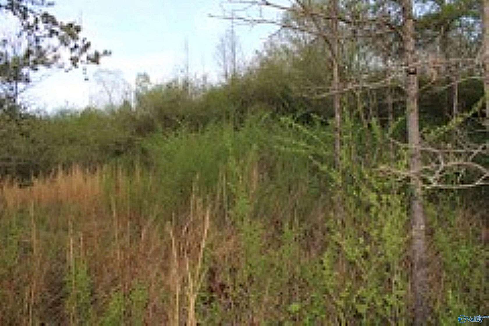 3.23 Acres of Residential Land for Sale in Sand Rock, Alabama