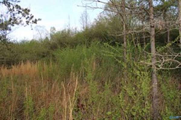 3.23 Acres of Residential Land for Sale in Sand Rock, Alabama