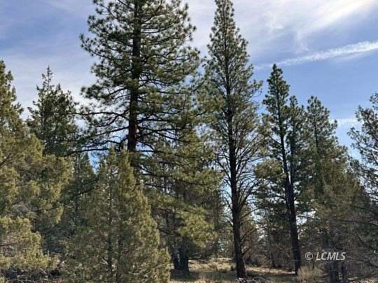 40 Acres of Recreational & Residential Land for Sale in Beatty, Oregon