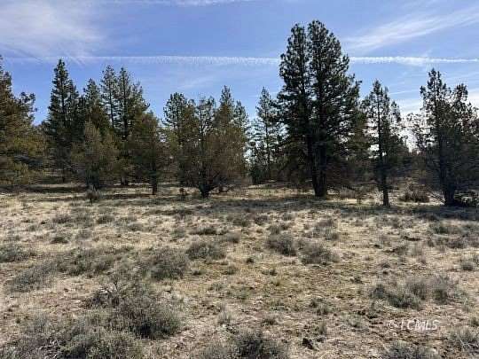 10 Acres of Recreational Land for Sale in Beatty, Oregon