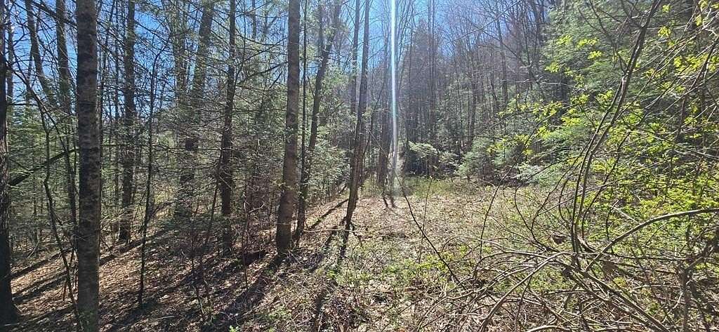 0.52 Acres of Land for Sale in Daniels, West Virginia