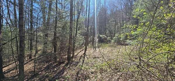 0.52 Acres of Land for Sale in Daniels, West Virginia