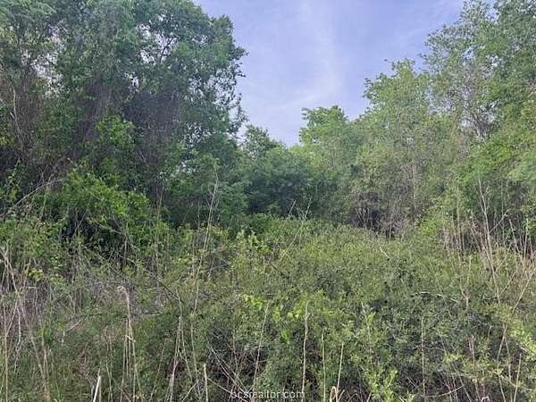 2.9 Acres of Residential Land for Sale in Navasota, Texas