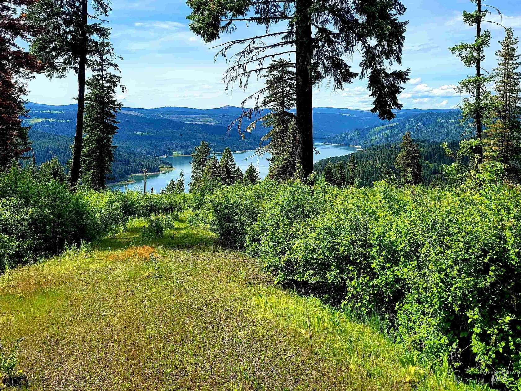 20 Acres of Recreational Land for Sale in Orofino, Idaho