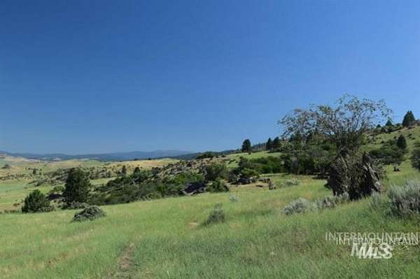 96.8 Acres of Agricultural Land for Sale in Ola, Idaho
