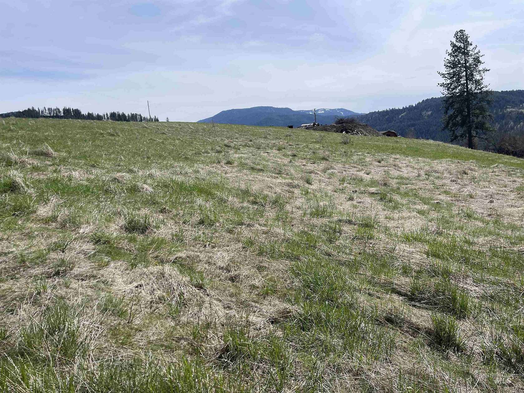 3 Acres of Residential Land for Sale in Harpster, Idaho