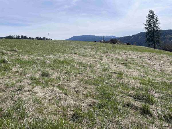 3 Acres of Residential Land for Sale in Harpster, Idaho