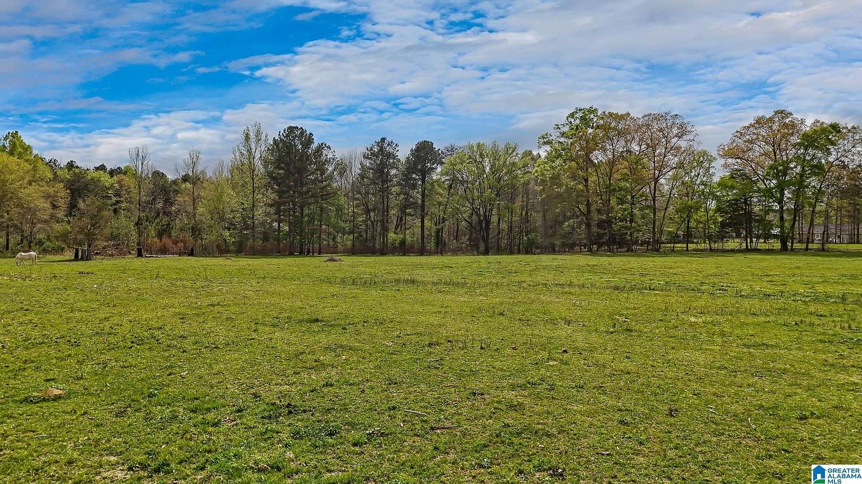 13 Acres of Land with Home for Sale in Adger, Alabama