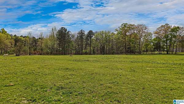 13 Acres of Land with Home for Sale in Adger, Alabama