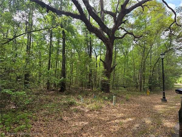 0.73 Acres of Residential Land for Sale in Woodbine, Georgia