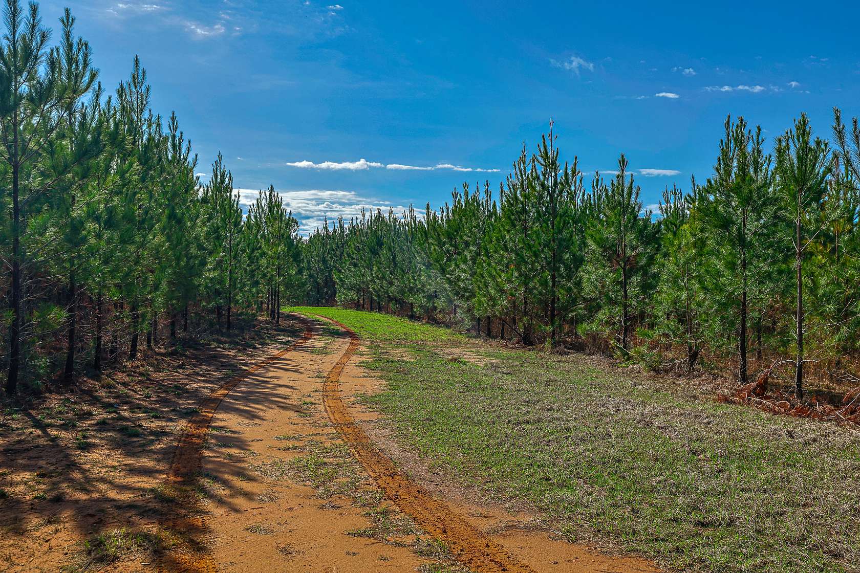 248 Acres of Recreational Land for Sale in Sparta, Georgia