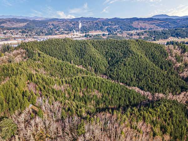 112 Acres of Recreational Land for Sale in Toledo, Oregon