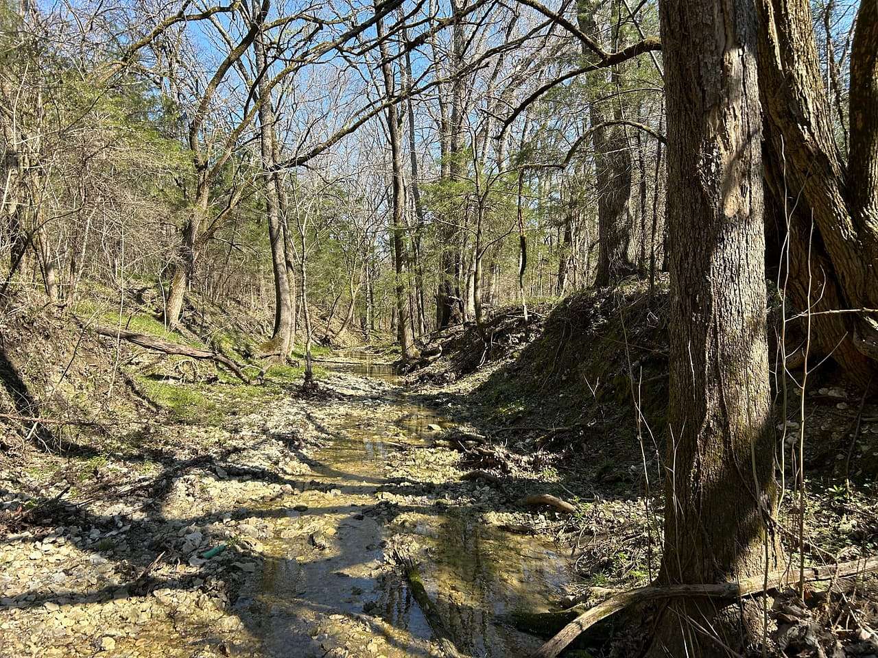 240 Acres of Recreational Land for Sale in Nettleton, Mississippi