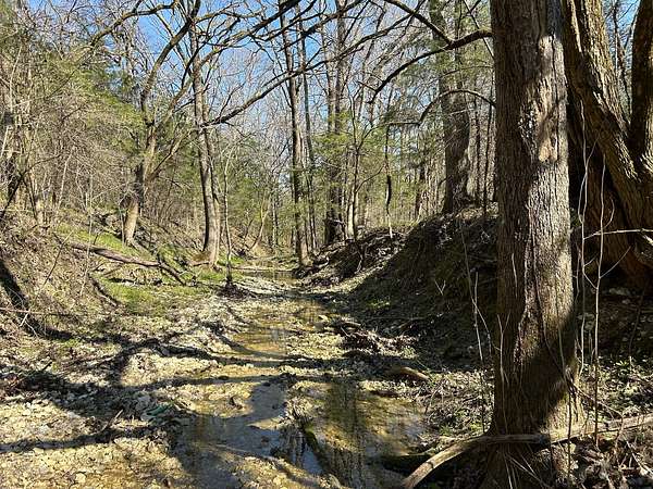 240 Acres of Recreational Land for Sale in Nettleton, Mississippi