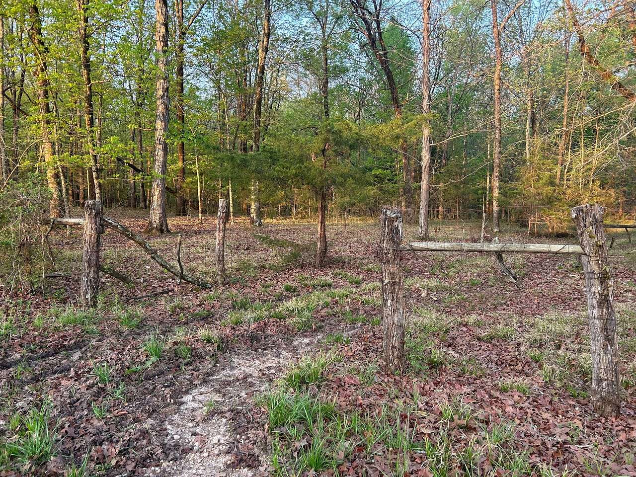 20 Acres of Land for Sale in Okolona, Mississippi