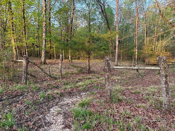 20 Acres of Land for Sale in Okolona, Mississippi