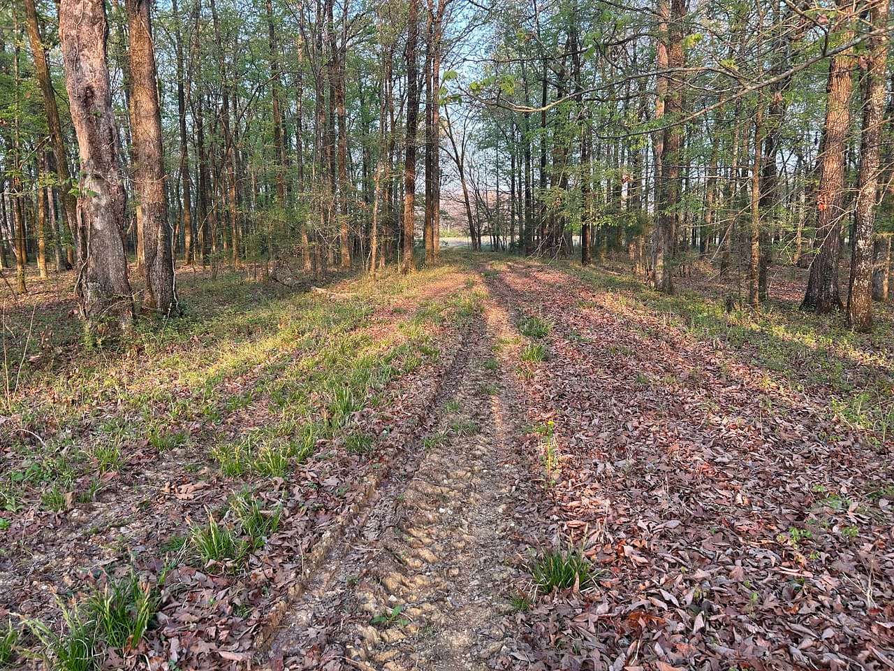 63 Acres of Land for Sale in Okolona, Mississippi