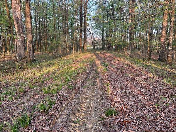 63 Acres of Land for Sale in Okolona, Mississippi