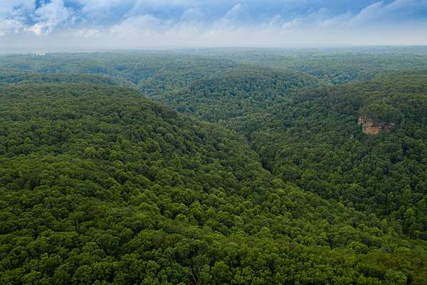 5.63 Acres of Residential Land for Sale in Coalmont, Tennessee