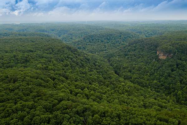 5.63 Acres of Residential Land for Sale in Coalmont, Tennessee